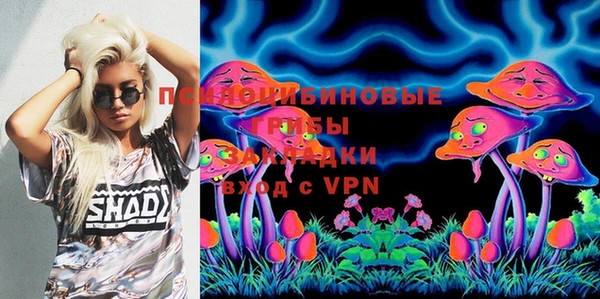 сатива Кукмор