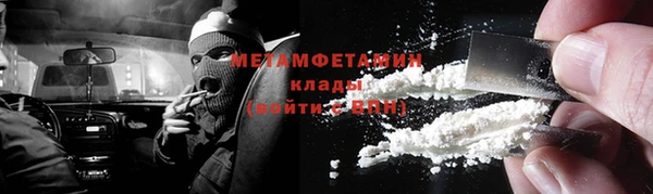 сатива Кукмор