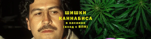сатива Кукмор