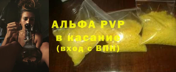 сатива Кукмор