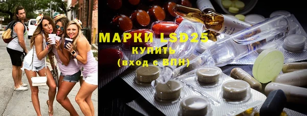 сатива Кукмор