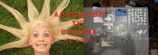 сатива Кукмор