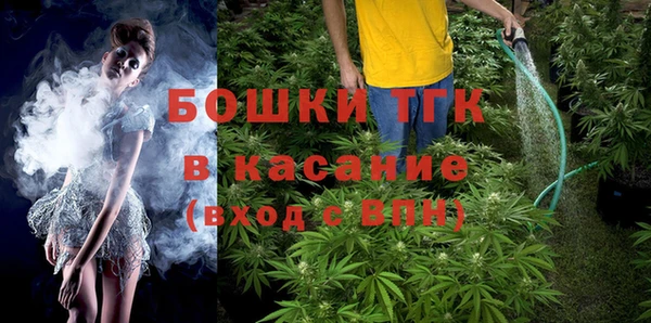 сатива Кукмор