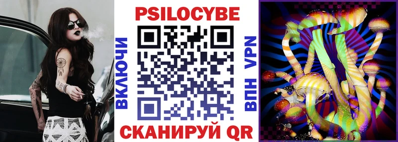 Купить закладки  Чердынь  Псилоцибиновые грибы Psilocybine cubensis 